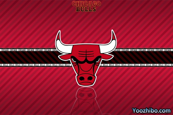 <a href=/lanqiuxilie/bulls/ target=_blank class=infotextkey>公牛</a>队