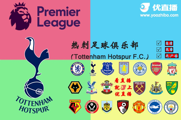 2019-20赛季<a href=/zuqiuxilie/hotspur/ target=_blank class=infotextkey>热刺</a>阵容名单一览