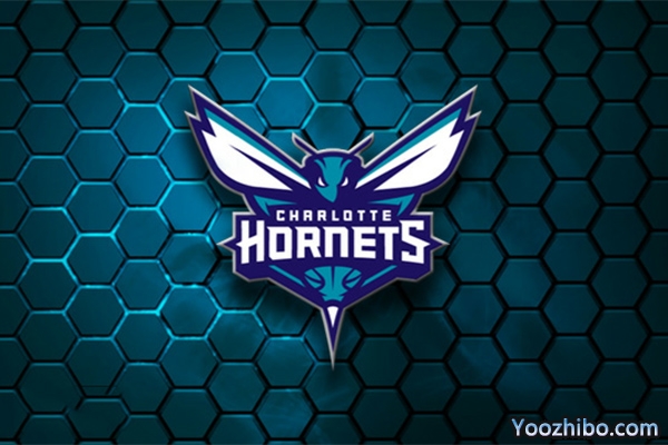 2019-2020赛季<a href=/lanqiuxilie/hornets/ target=_blank class=infotextkey>黄蜂</a>队队徽